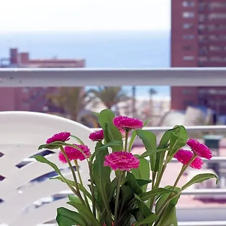 Niza Apartment